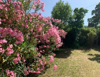 unser altes Bauernhaus in der Toskana