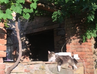 unser Haus in der Toskana