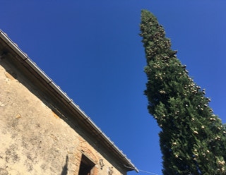 unser altes Bauernhaus in der Toskana