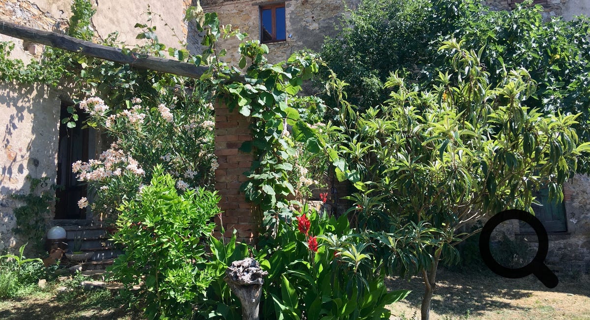 San Federigo Pergola hinten