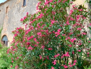 unser Haus in der Toskana