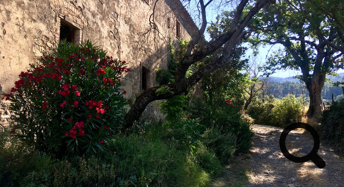 San Federigo vorgarten