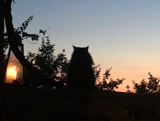 unser Haus in der Toskana