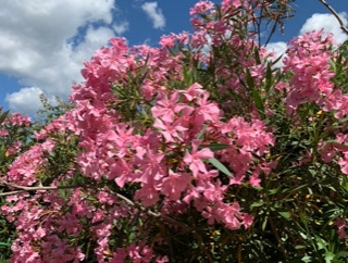 unser Haus in der Toskana