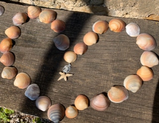 unser altes Bauernhaus in der Toskana